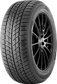 DoubleStar Winterking DW09 255/50 R20 109H нешип