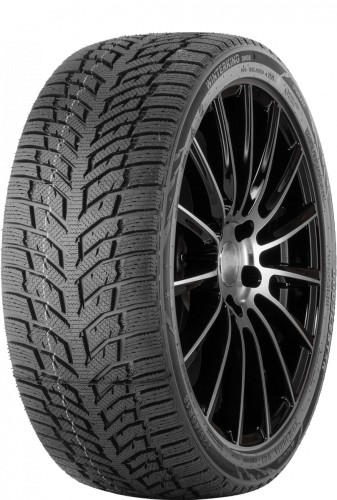 Шины Doublestar Winterking DW08 195/55 R16 87H нешип - 1