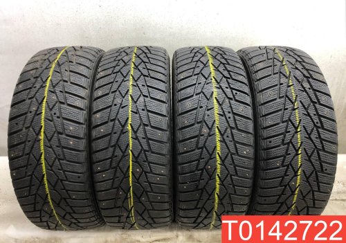 Doublestar WinterKing DW01 205/55 R16 91T  - 1