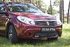Защитная сетка решетки переднего бампера (с ДХО) для Renault Sandero (2009-2013)