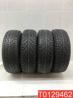 Tigar Winter 195/65 R15 95T 