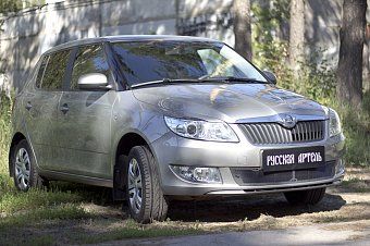 Защитная сетка решетки переднего бампера для Skoda Fabia II (2010-2013)