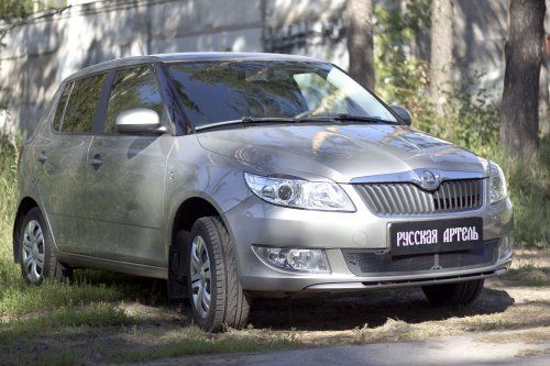 Защитная сетка решетки переднего бампера для Skoda Fabia II (2010-2013) - 1