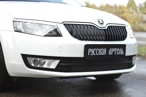 Зимняя заглушка решетки переднего бампера для Skoda Octavia A7 (2017) рестайлинг - 1
