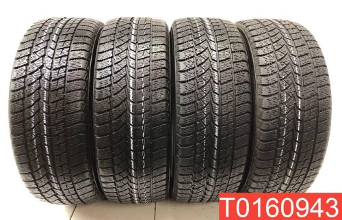 Doublestar WinterKing DW02 225/55 R19 99T  - 1