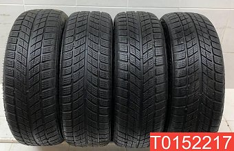 Doublestar Winter King DW09 215/55 R18 95H 