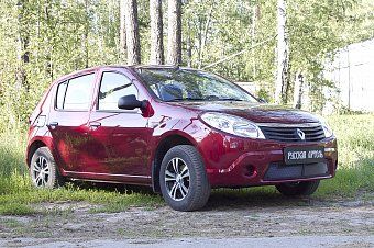Защитная сетка решетки переднего бампера для Renault Sandero (2009-2013)