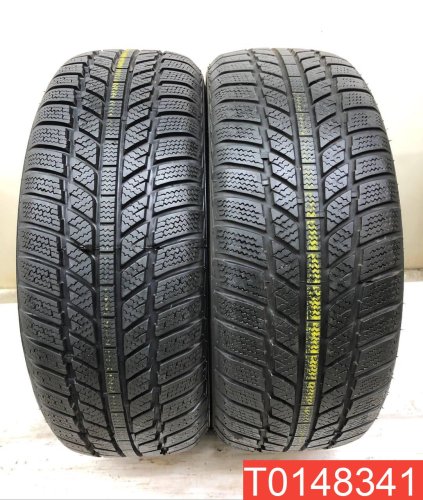 Evergreen Winter EW62 205/55 R16 91H  - 1