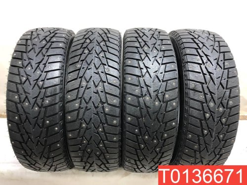 Doublestar WinterKing DW01 225/65 R17 102T  - 1