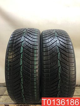 Yokohama BluEarth Winter V905 225/45 R19 96V 