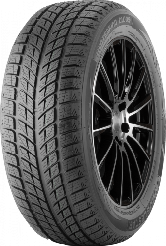 Шины DoubleStar Winterking DW09 235/50 R19 99H нешип - 1