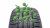 Nokian Tyres Hakka Blue SUV 245/65 R17 111H XL